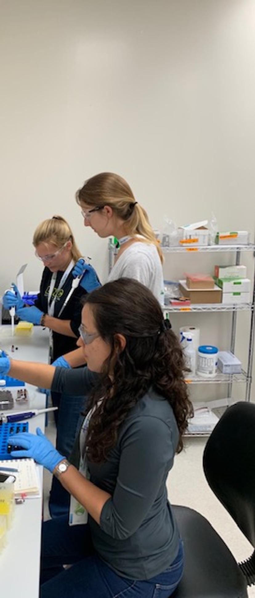 Restek employees working in cannabis lab