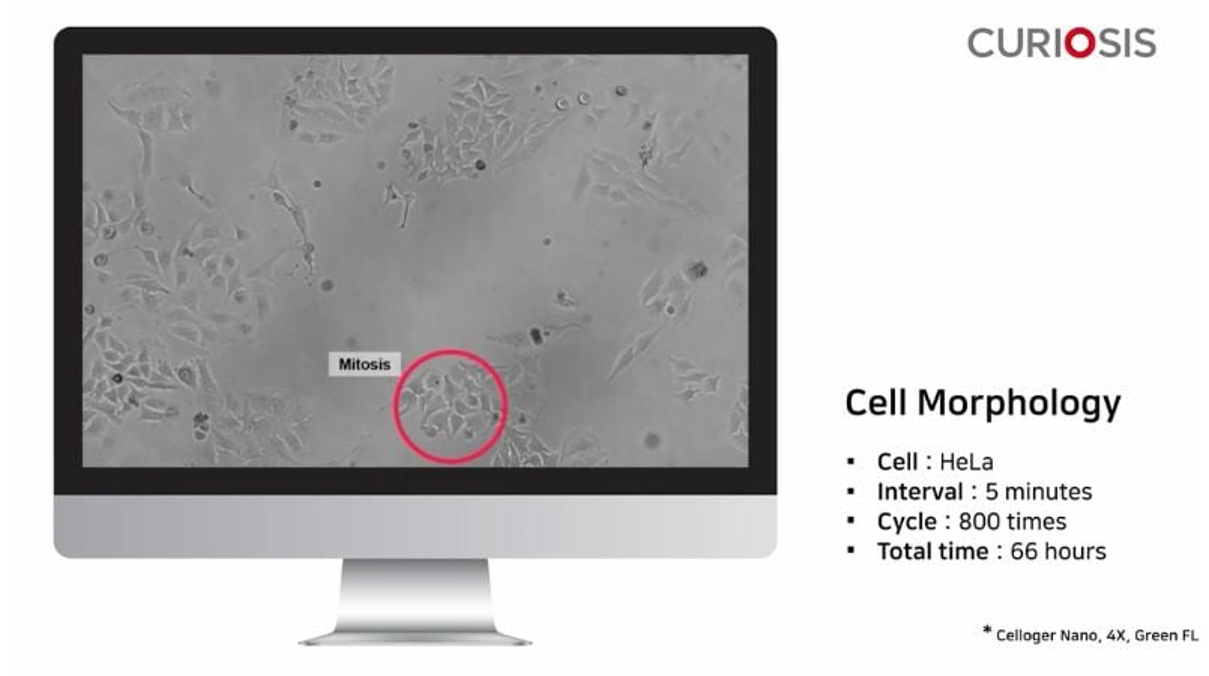 Celloger Nano application: Cell morphology Celloger Nano application: Cell morphology