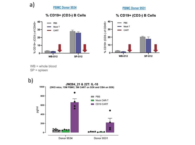 A translationally-relevant alternative to non-human primates