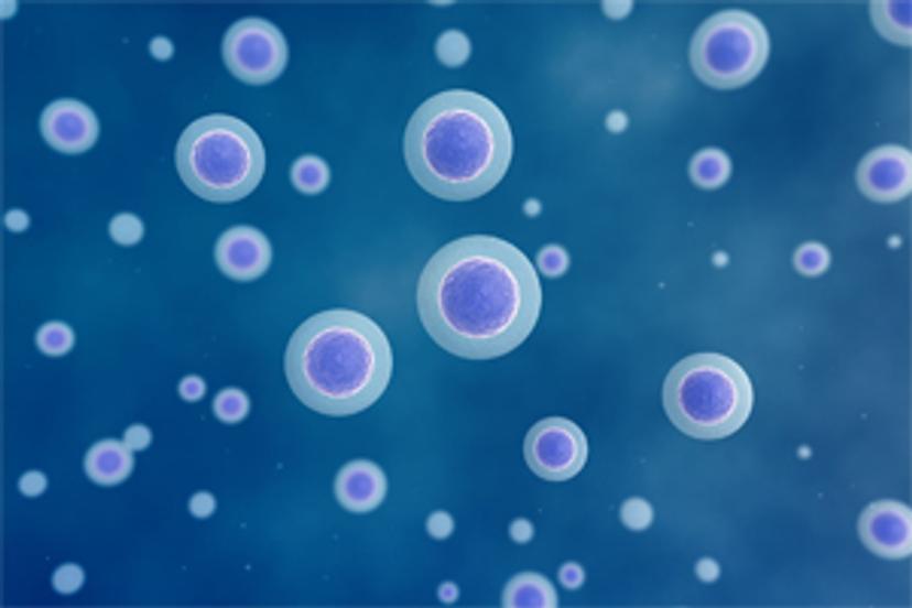 Optimizing cryopreserved tissue samples using cell sorting to study cellular heterogeneity