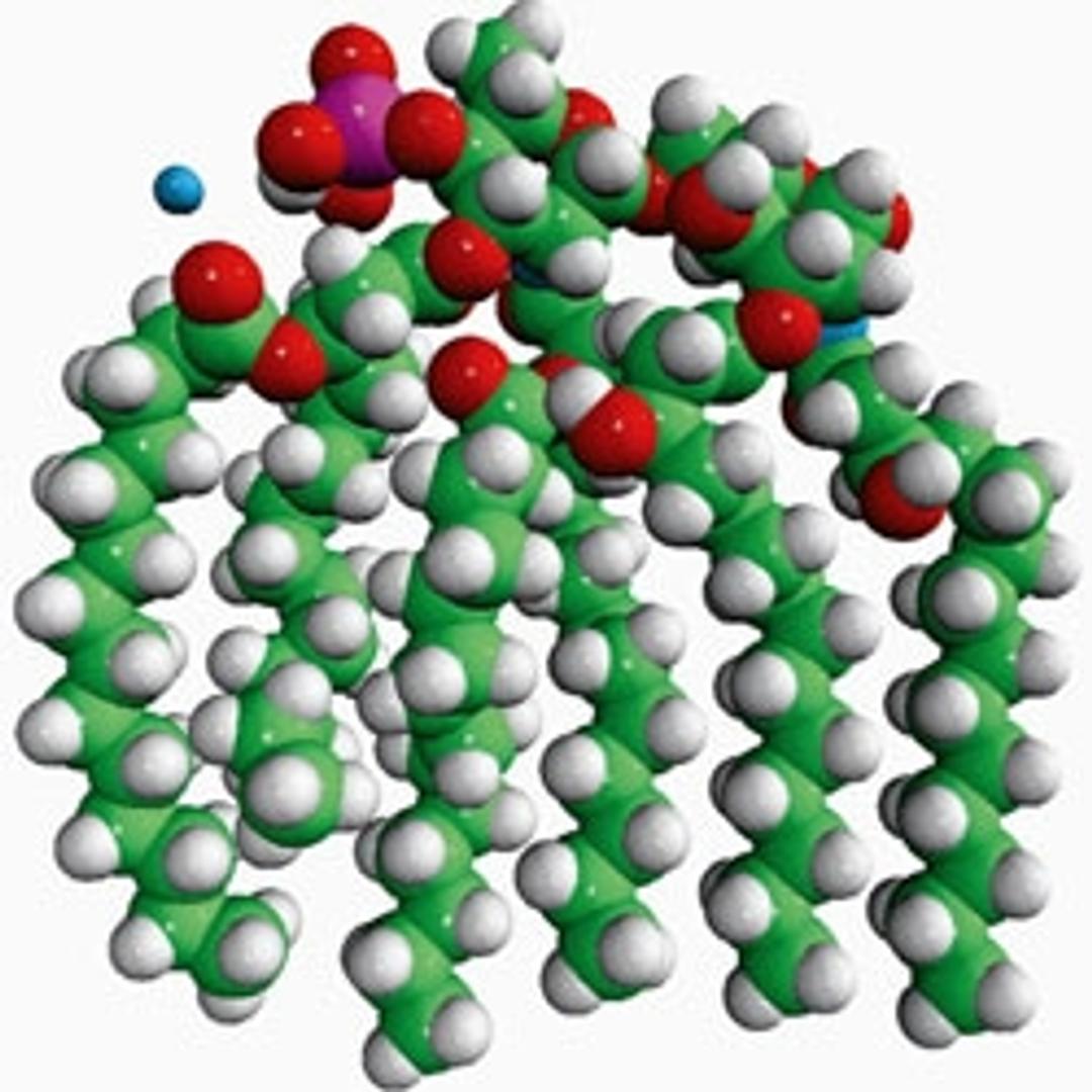 MPLA (PHAD®) Monophosphoryl Lipid A (Synthetic) (PHAD®), pow