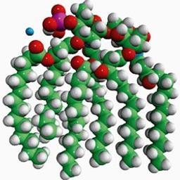 MPLA (PHAD®) Monophosphoryl Lipid A (Synthetic) (PHAD®), pow