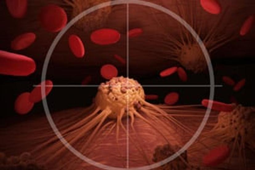 Predicting cancer immunotherapy response by highly multiplexed tumor imaging
