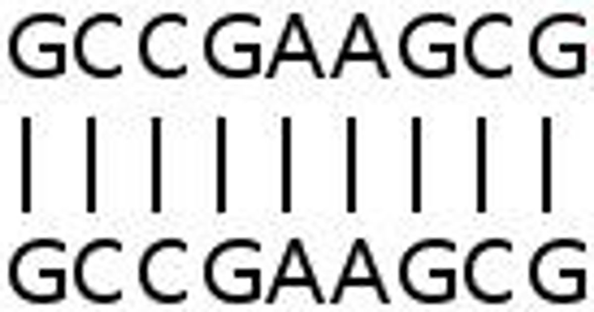 Buy Human COIL knockout HeLa cell line Read Reviews