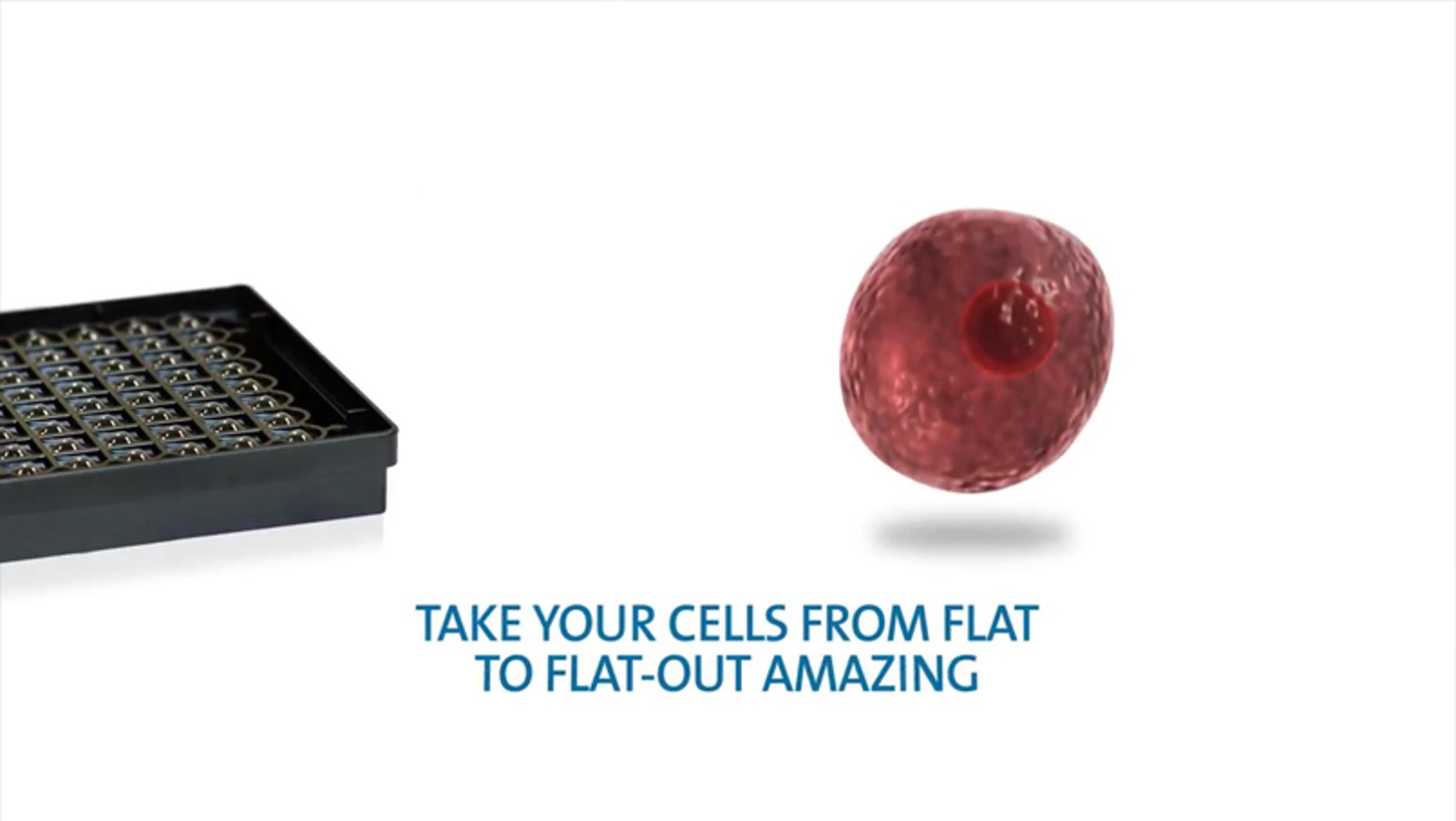 Take Your Research 3D in 3 Easy Steps Take Your Research 3D in 3 Easy Steps