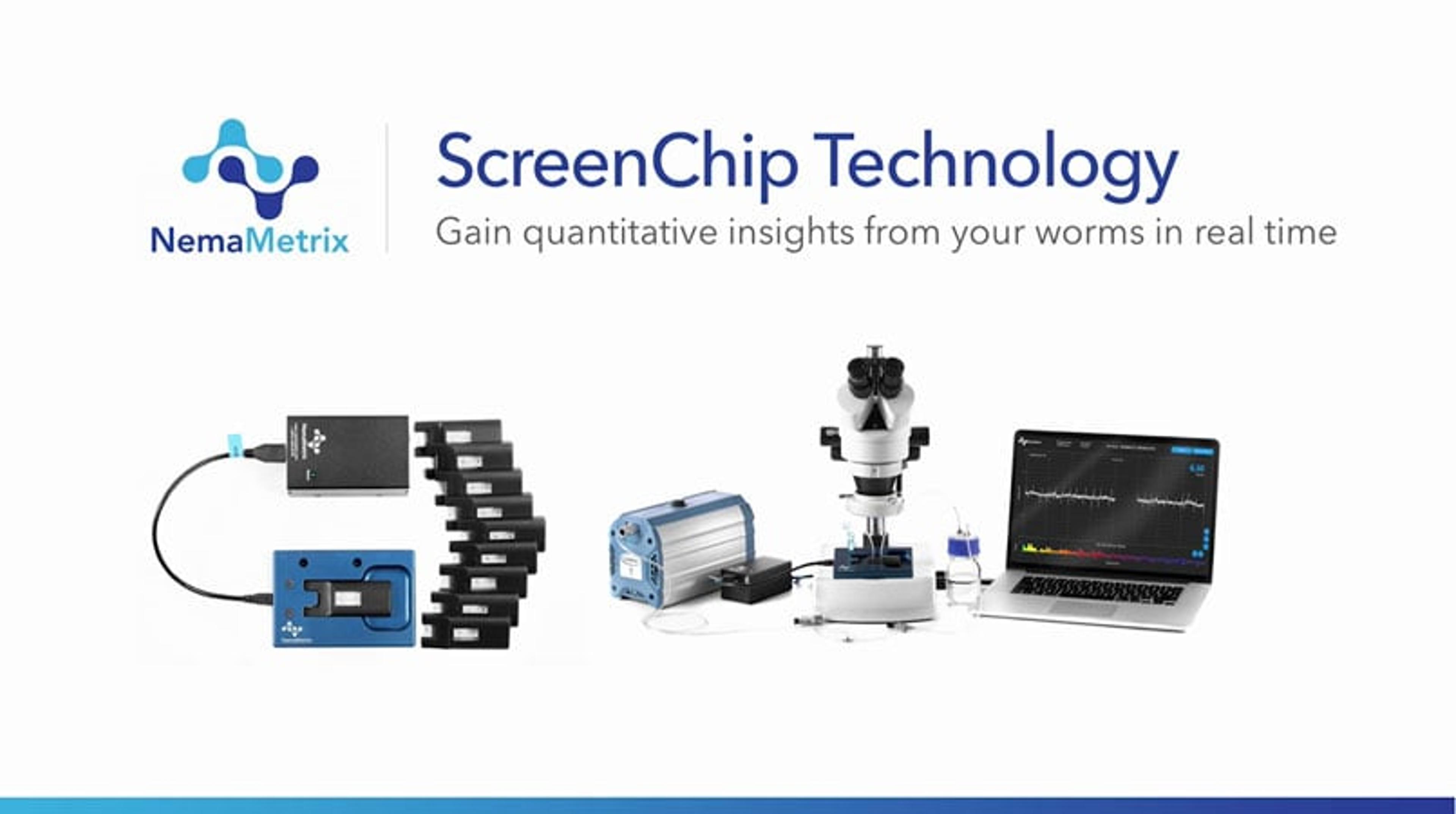 ScreenChip Technology Overview