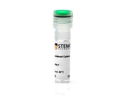 Rat Recombinant EGF