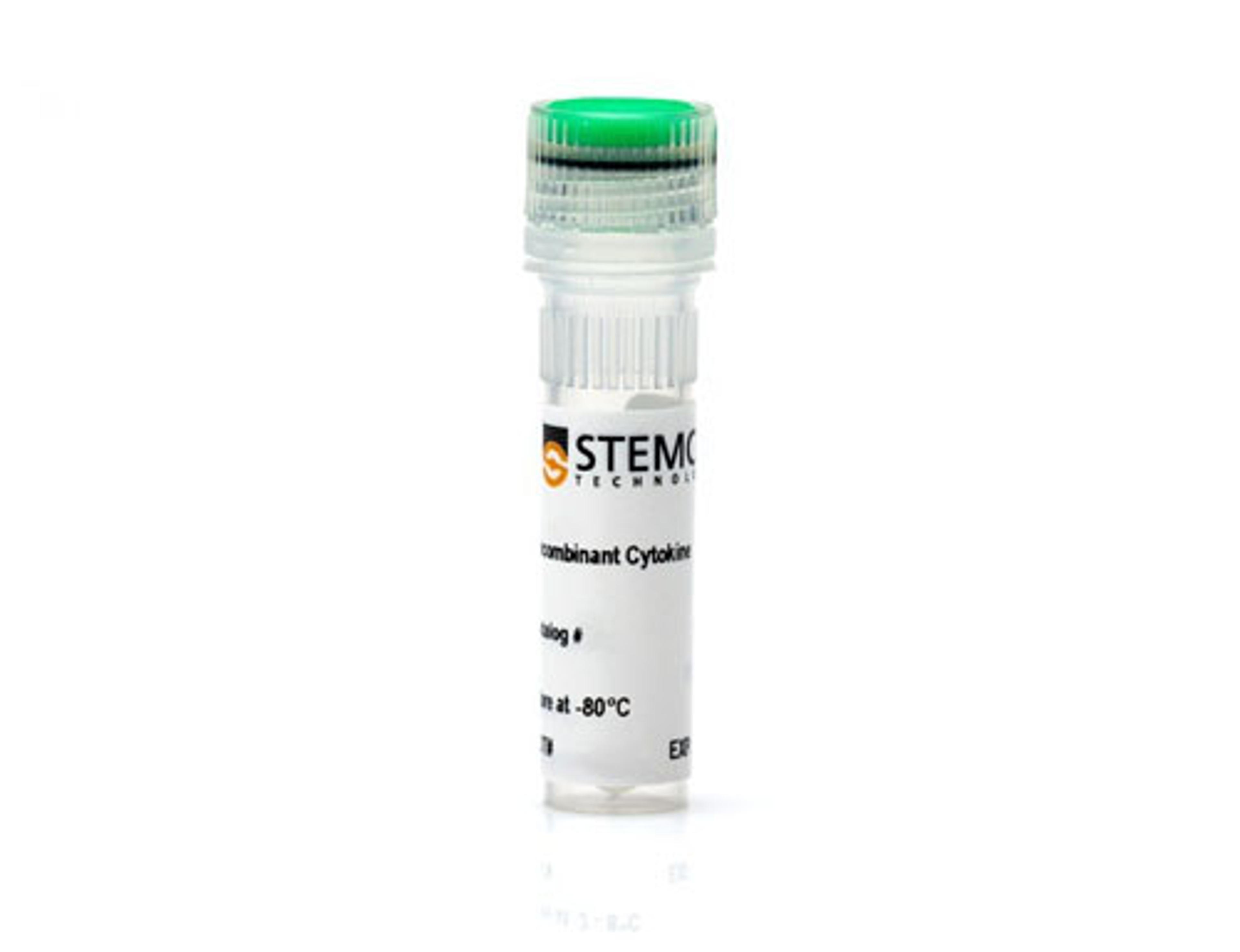 Rat Recombinant EGF