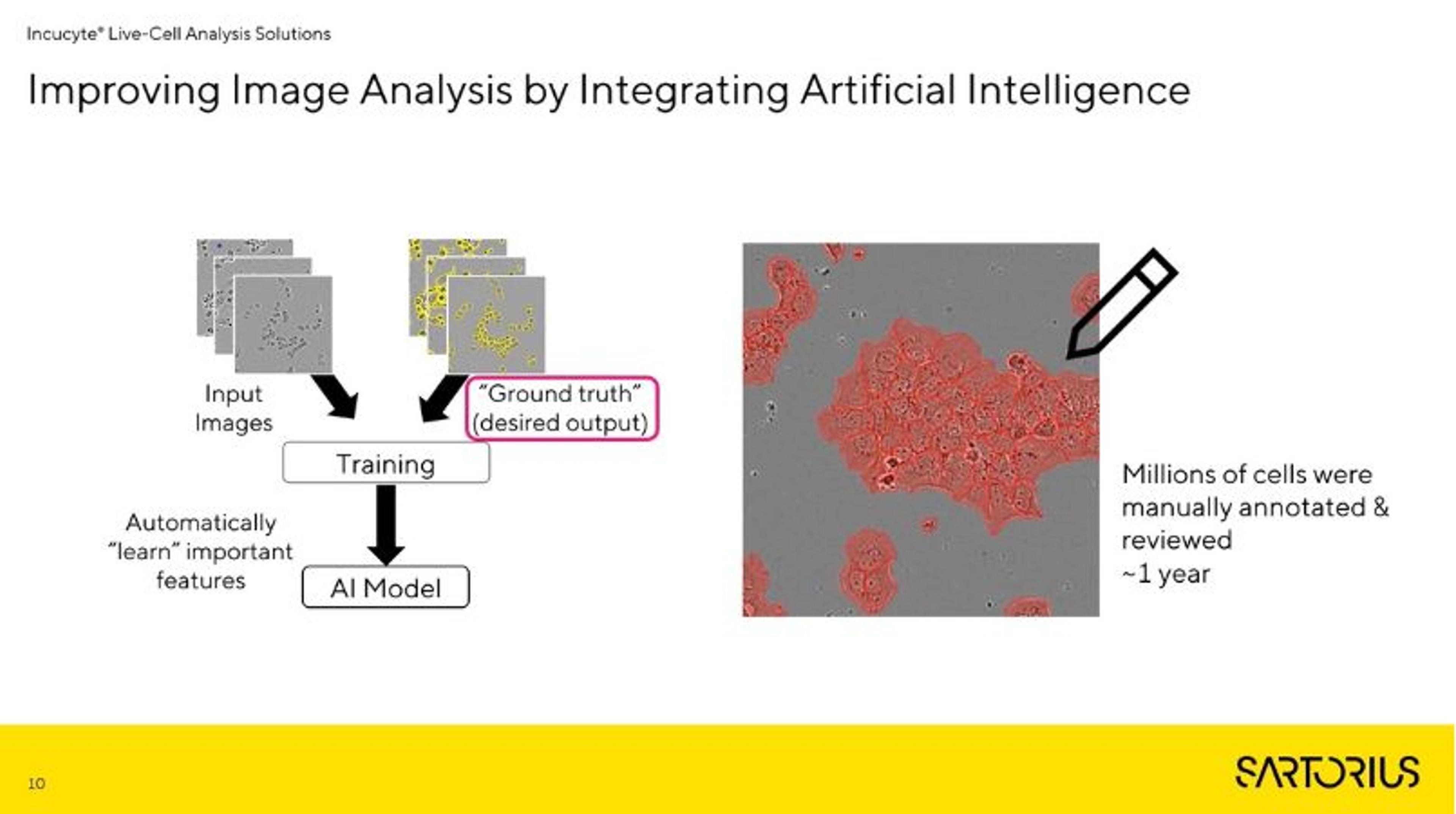 Revolutionizing live-cell imaging with AI: A label-free approach to assess viability Revolutionizing live-cell imaging with AI: A label-free approach to assess viability