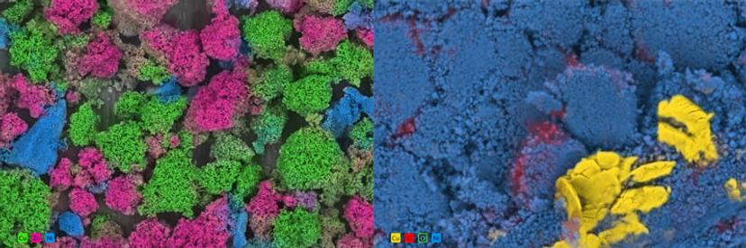 EDS analysis with ColorSEM Technology