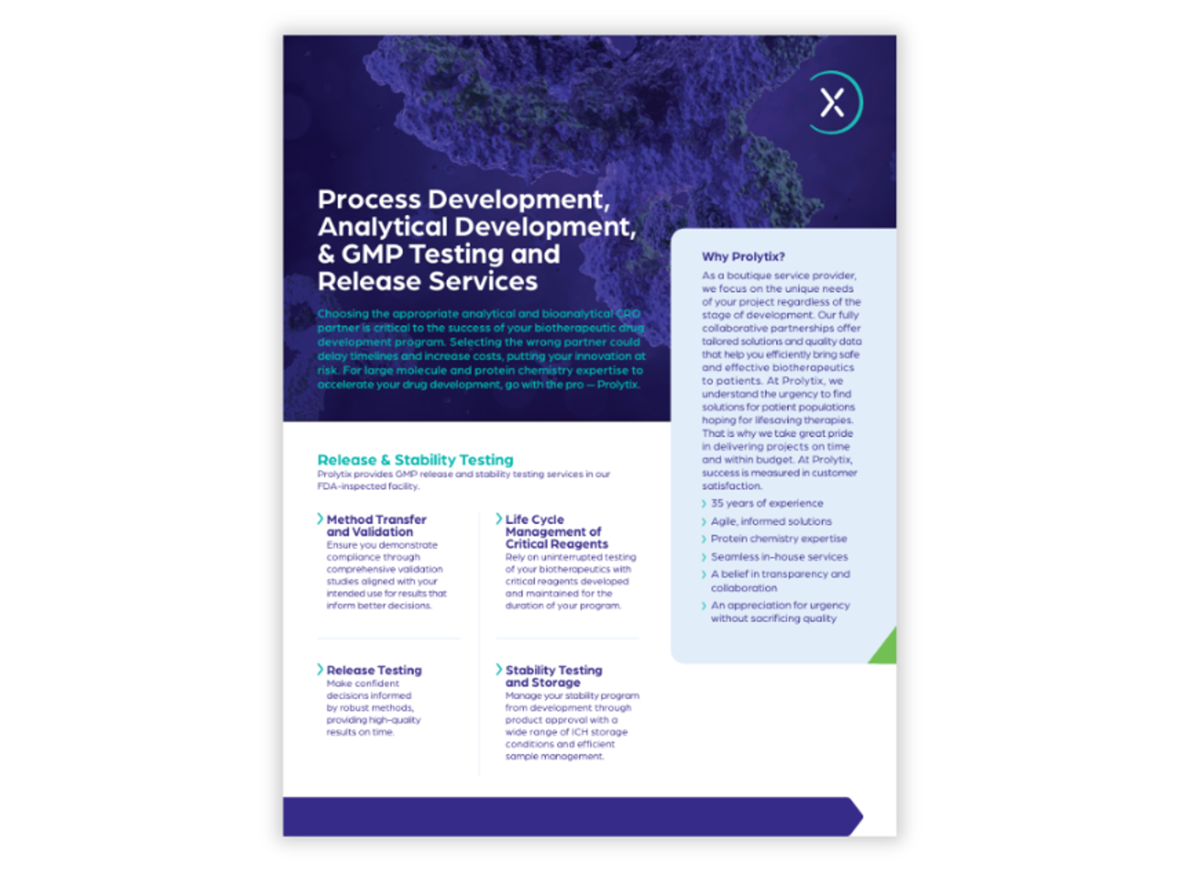 Prolytix analytical and bioanalytical services for large molecule drug development