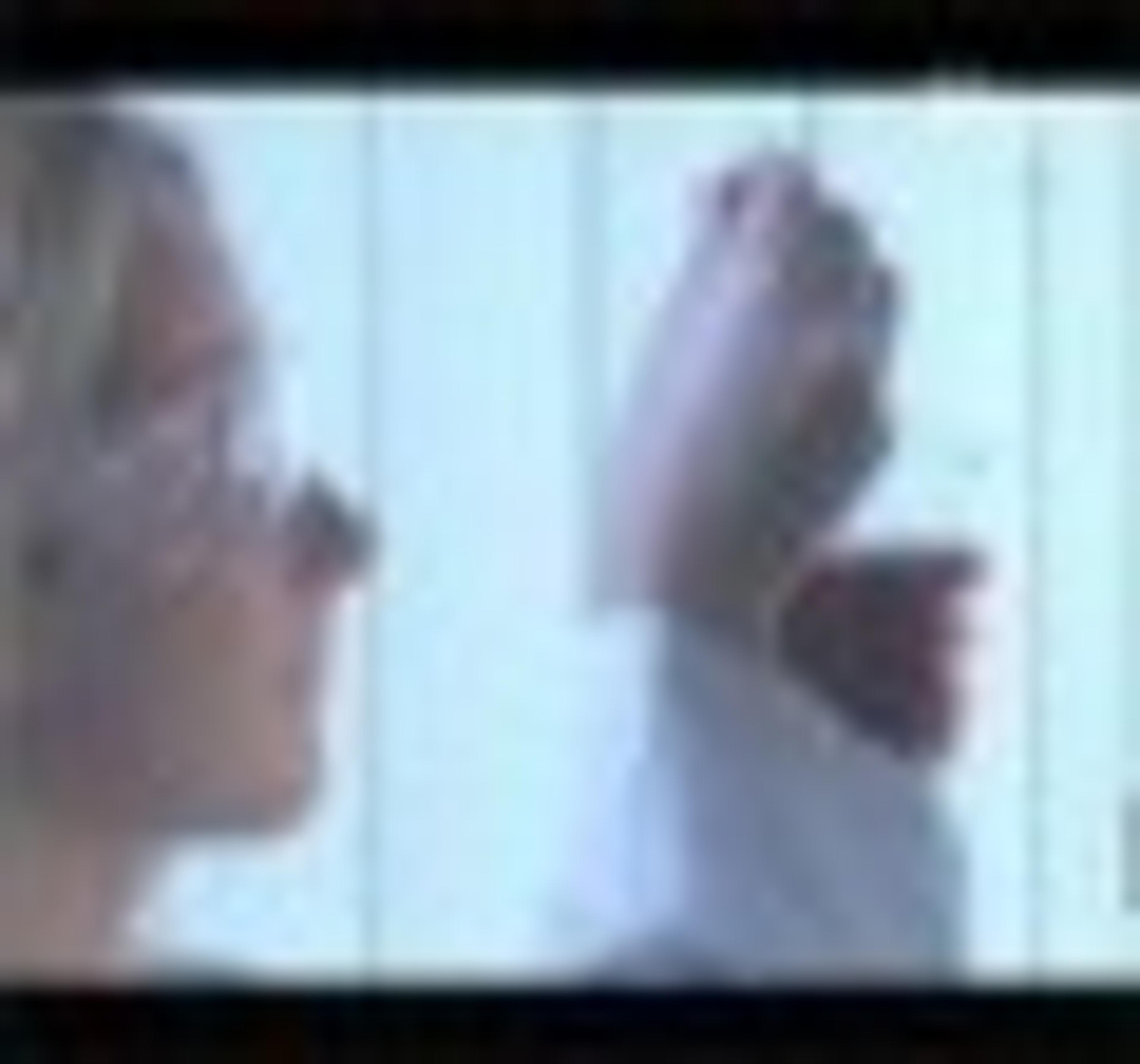 The Reveleris from Grace Davison Sciences The Reveleris from Grace Davison Sciences