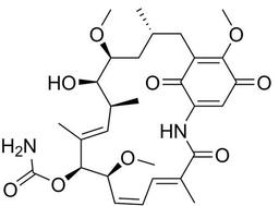 Geldanamycin