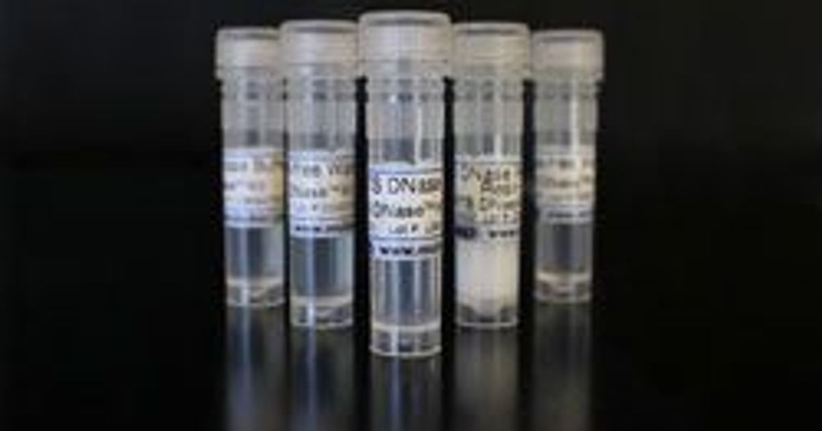 MO BIO Laboratories, Inc. Launches the RTS DNase™ Kit