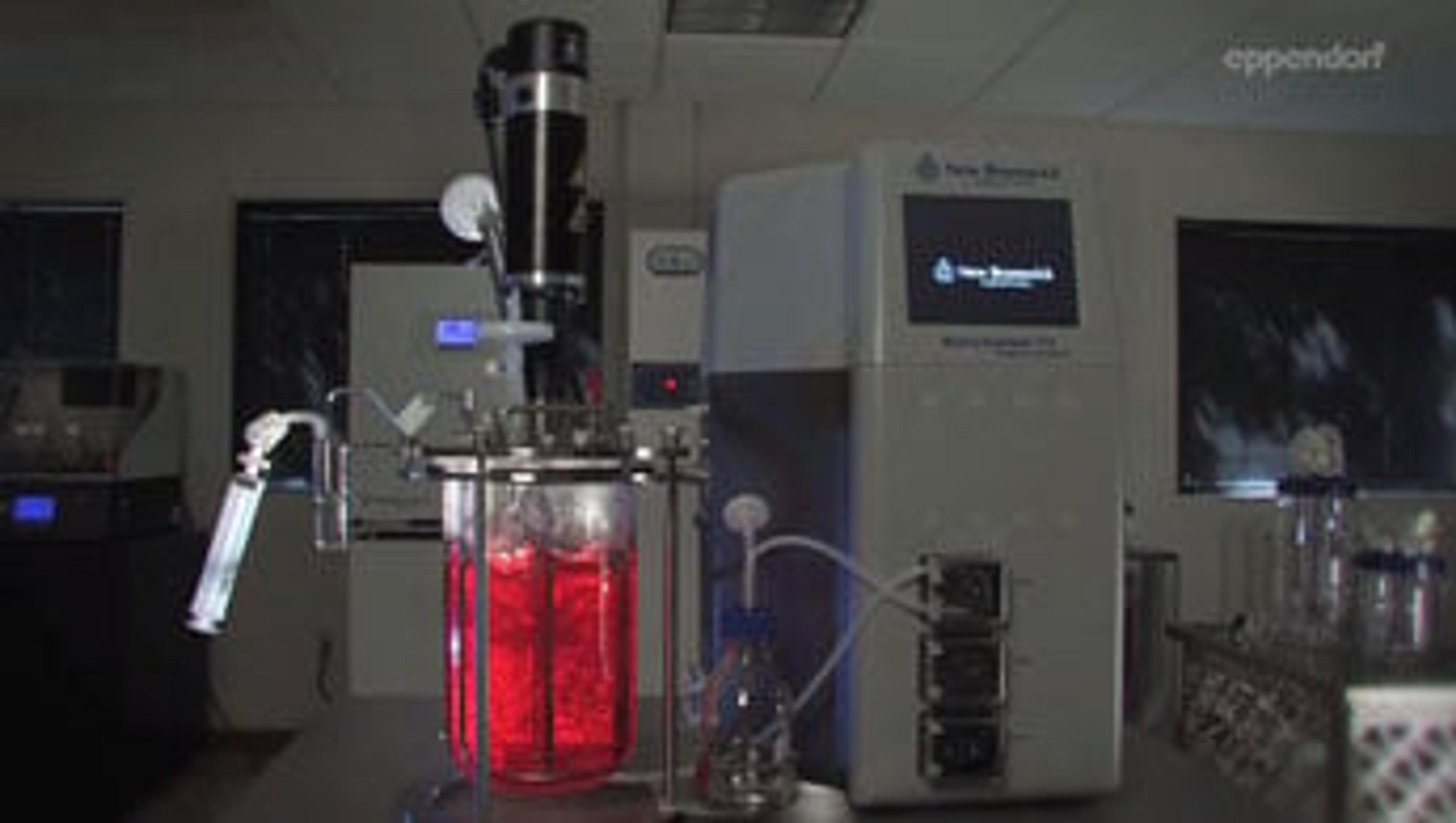 New Brunswick BioFlo®/CelliGen®115 Fermentor and Bioreactor New Brunswick BioFlo®/CelliGen®115 Fermentor and Bioreactor