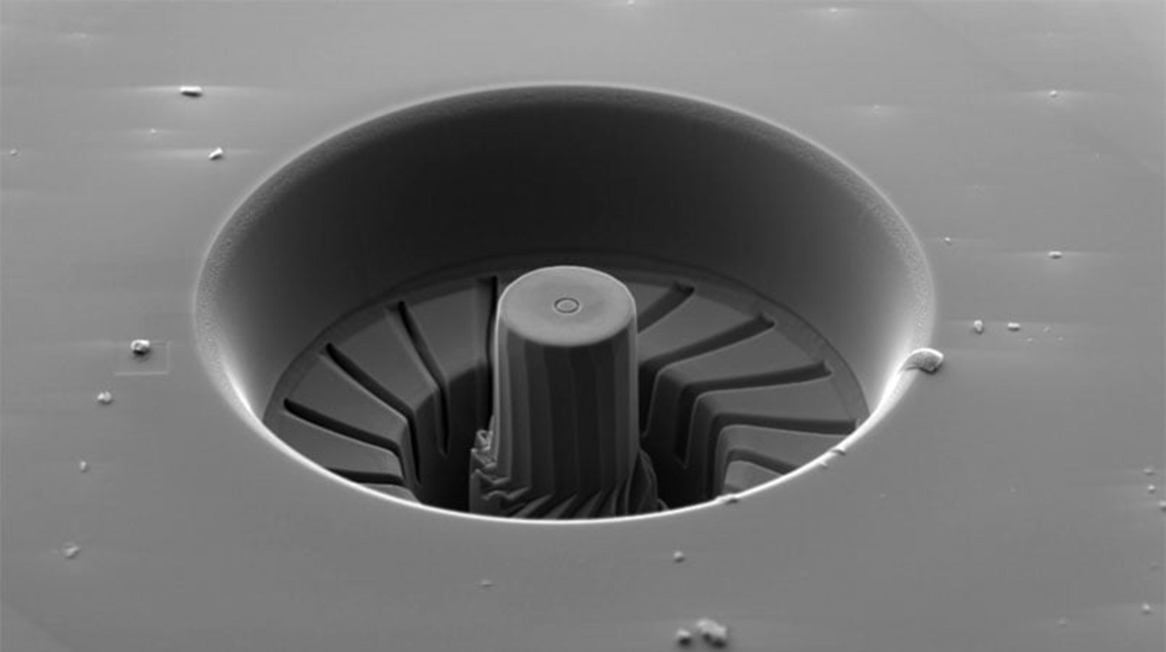 How ZEISS Microscopes are Shaping the Future How ZEISS Microscopes are Shaping the Future