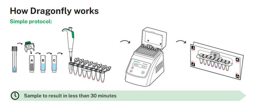 How Dragonfly works