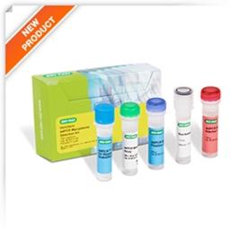 Vericheck ddPCR Mycoplasma Detection Kit