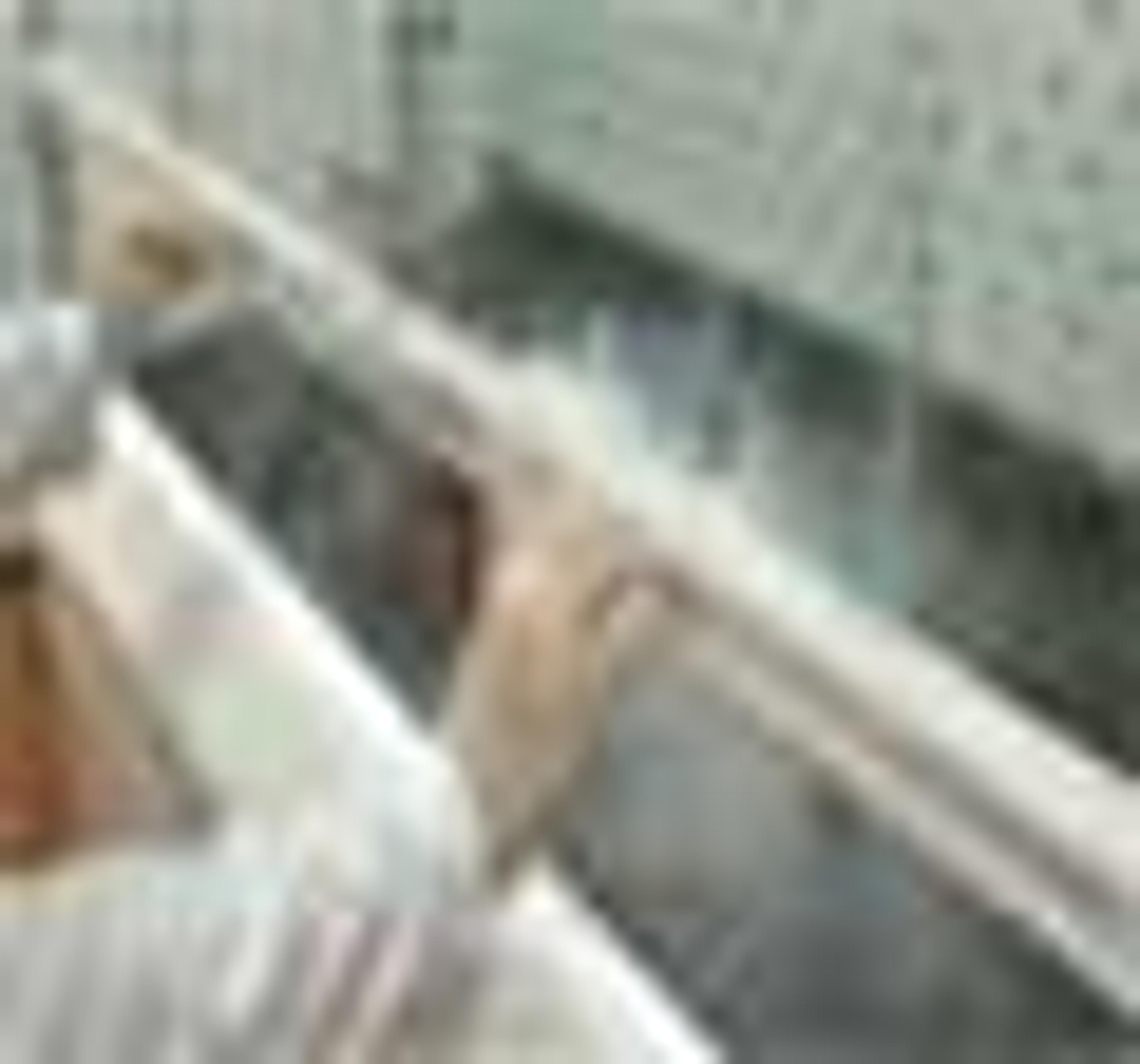 Energy Saving Fume Hood Energy Saving Fume Hood