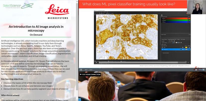 ML pixel classifier training image slide from the webinar titled ‘An introduction to AI image analysis in microscopy’