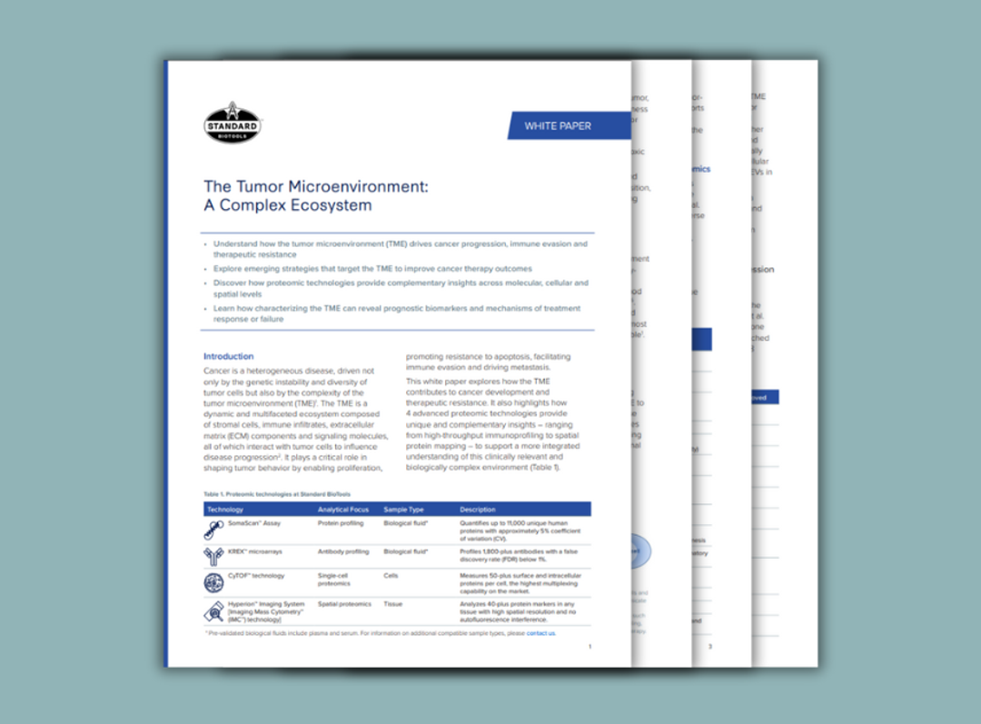 The tumor microenvironment: A complex ecosystem