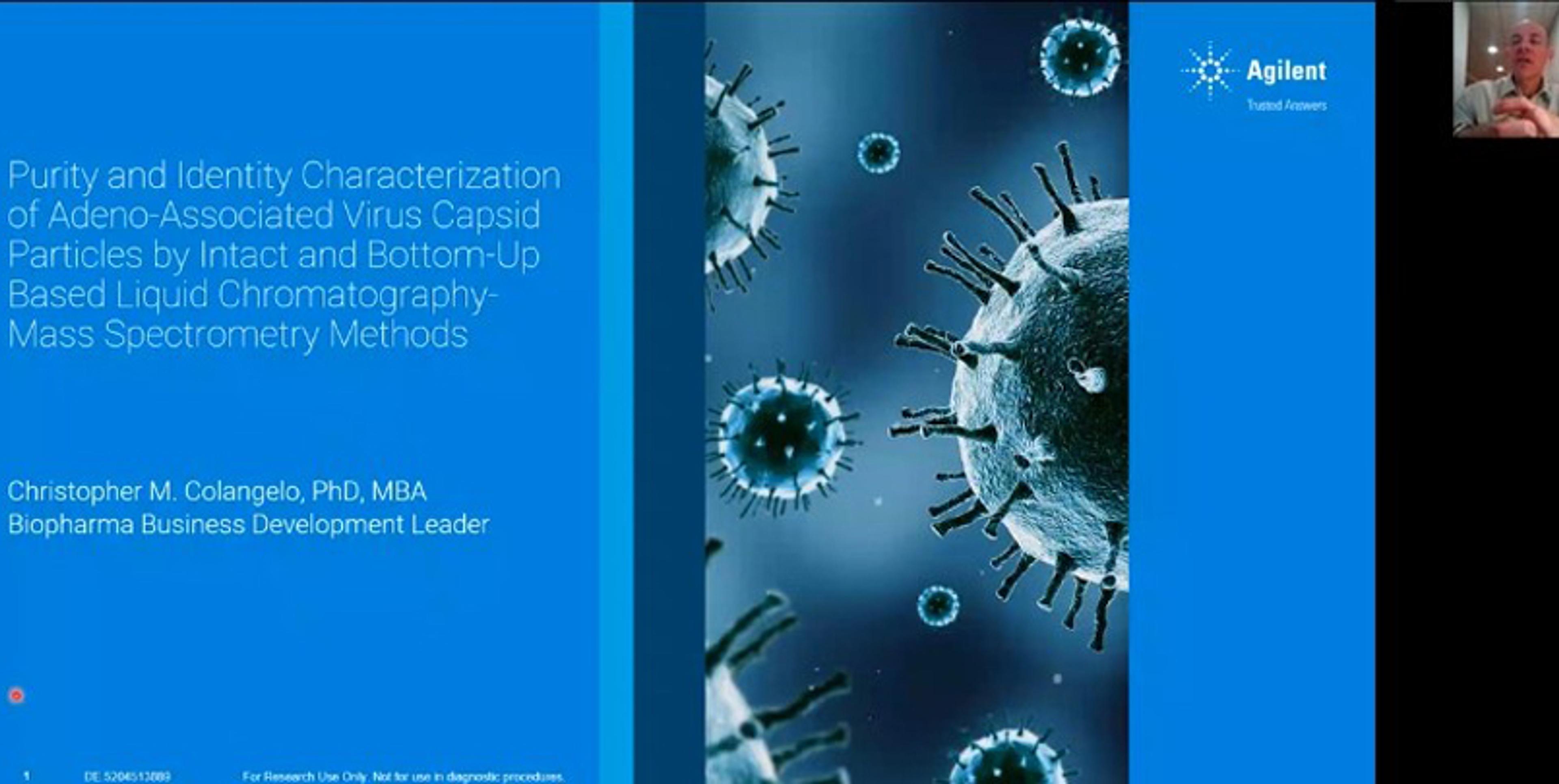 Purity and identity characterization of adeno-associated virus capsid particles by intact and bottom-up based LC-MS Purity and identity characterization of adeno-associated virus capsid particles by intact and bottom-up based LC-MS