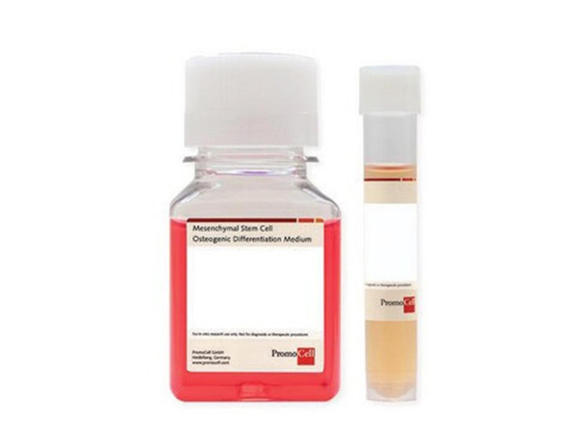 Buy Thermo Scientific™ PageRuler™ Plus Prestained Protein Ladder, 10 to ...