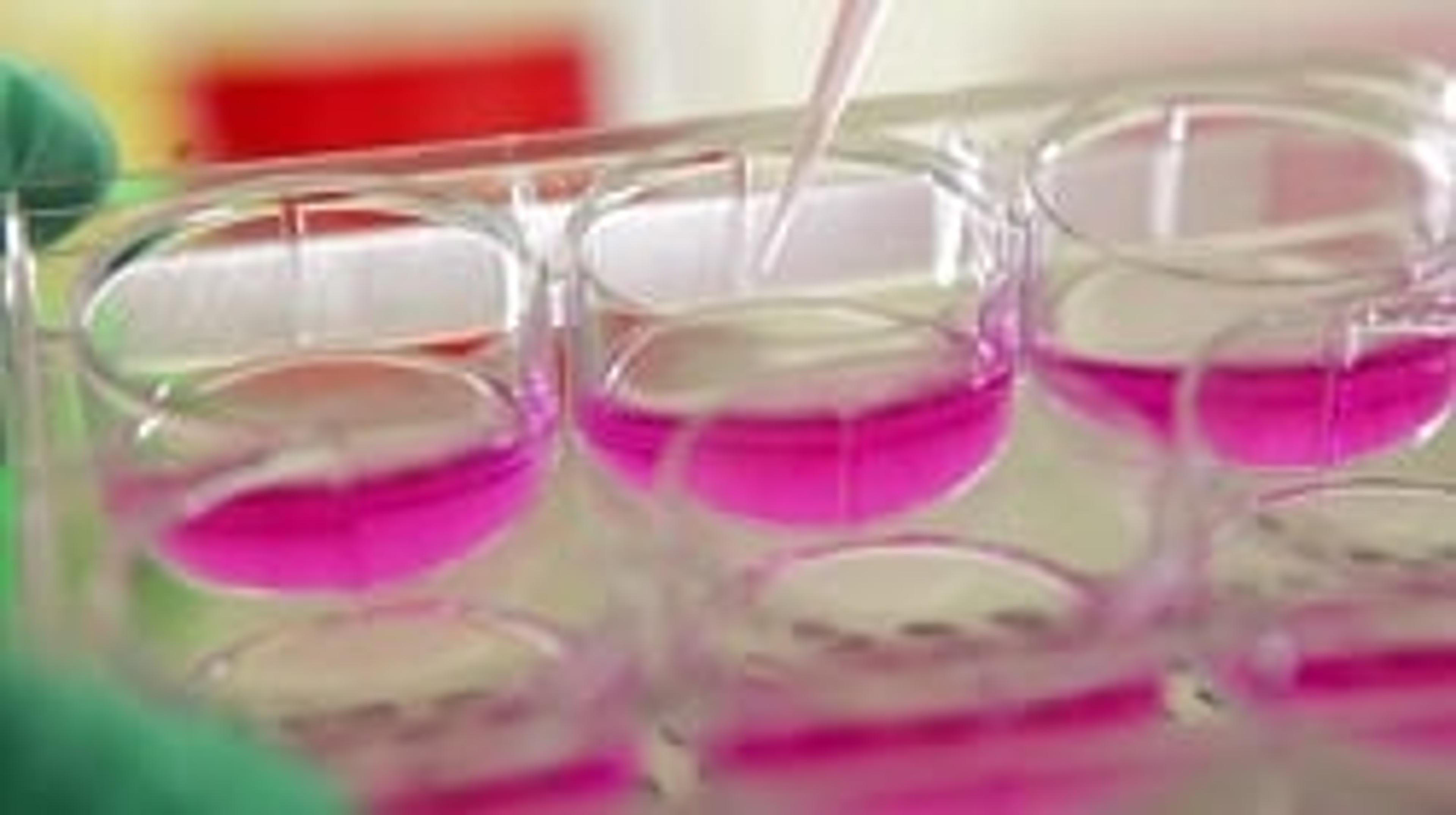 Sirion Biotech Cell Modeling Sirion Biotech Cell Modeling