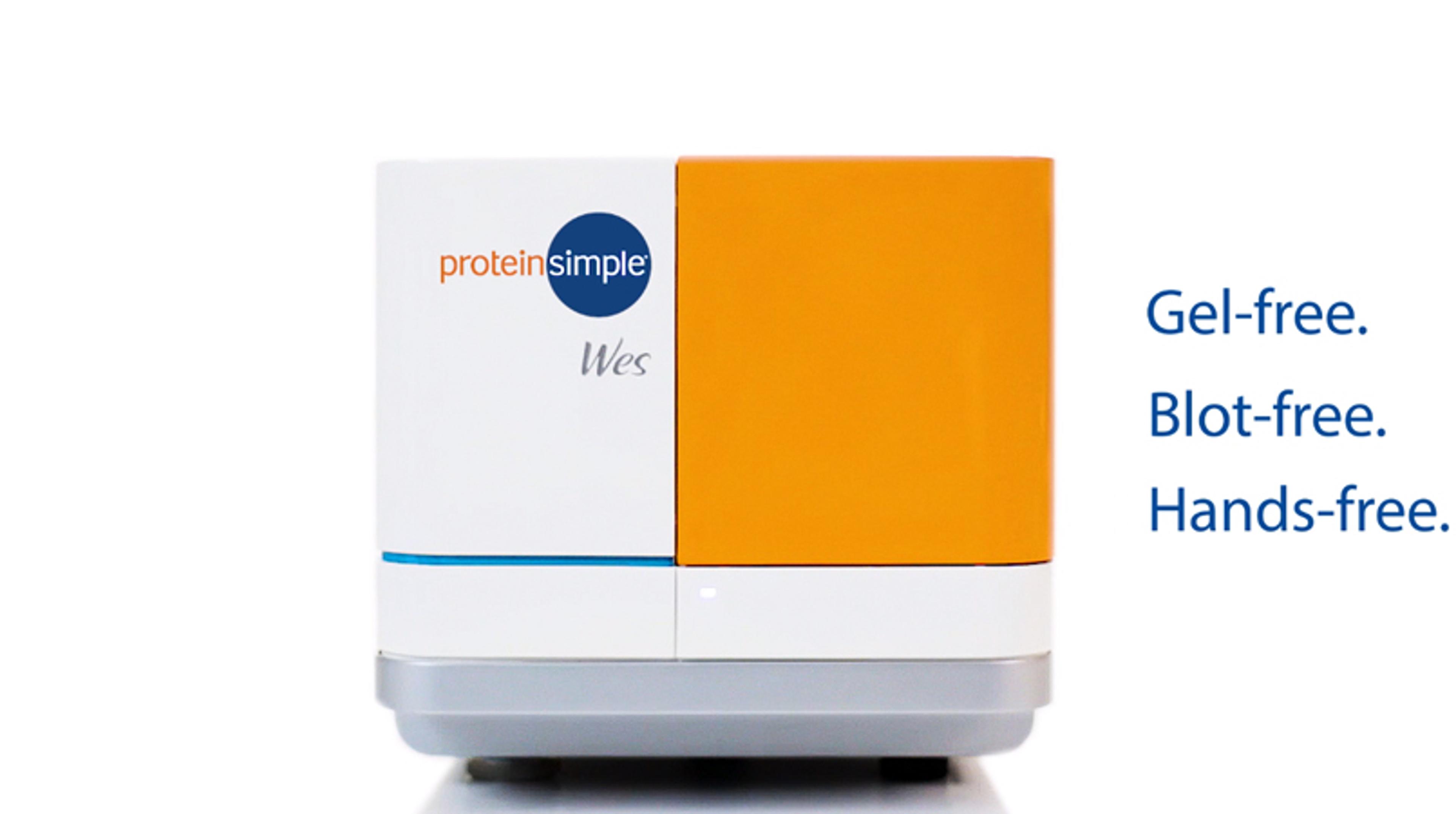 Wes: The All-in-One Protein Characterization Solution Wes: The All-in-One Protein Characterization Solution