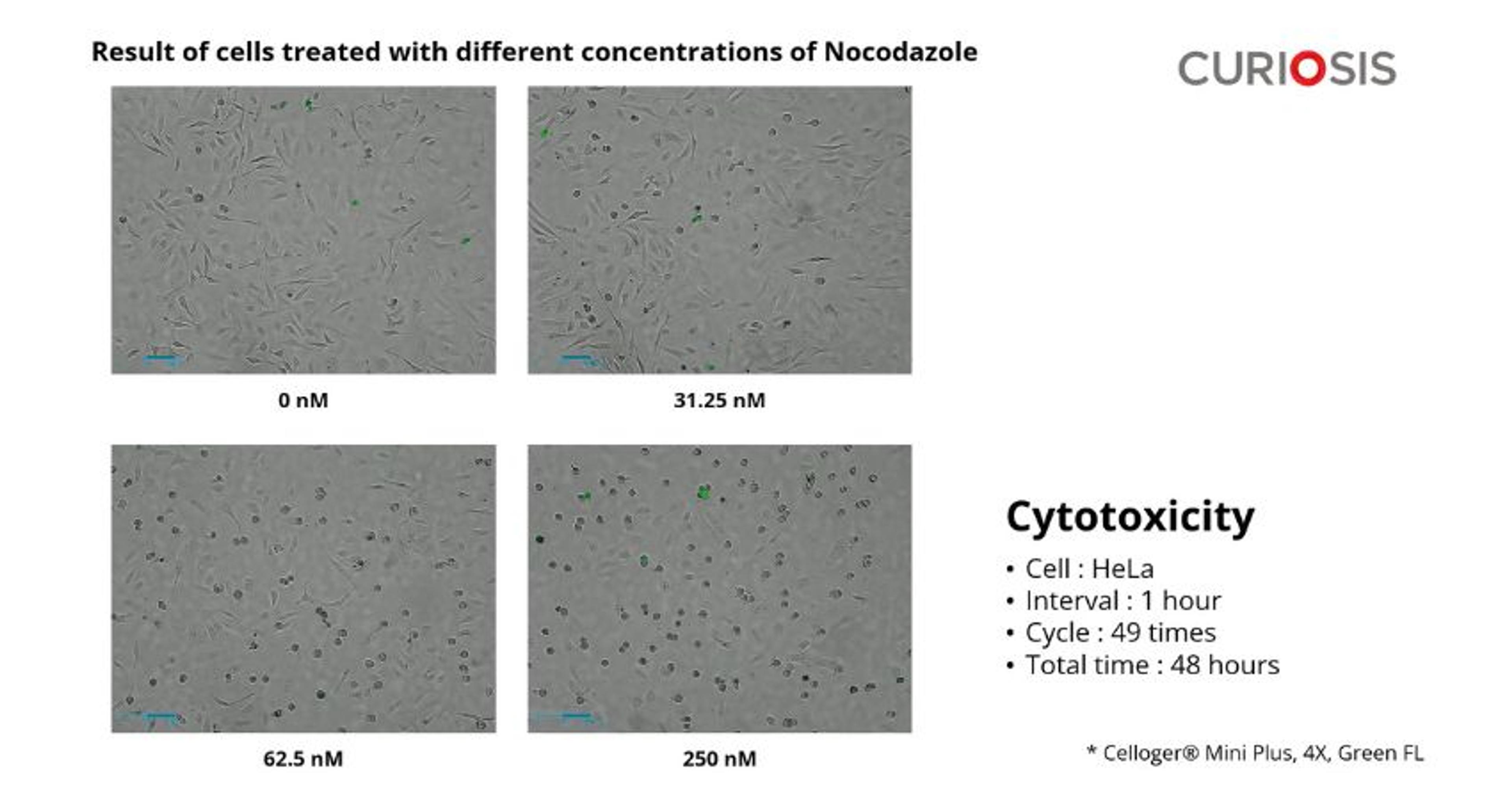 Celloger Mini Plus application: Cytotoxicity Celloger Mini Plus application: Cytotoxicity