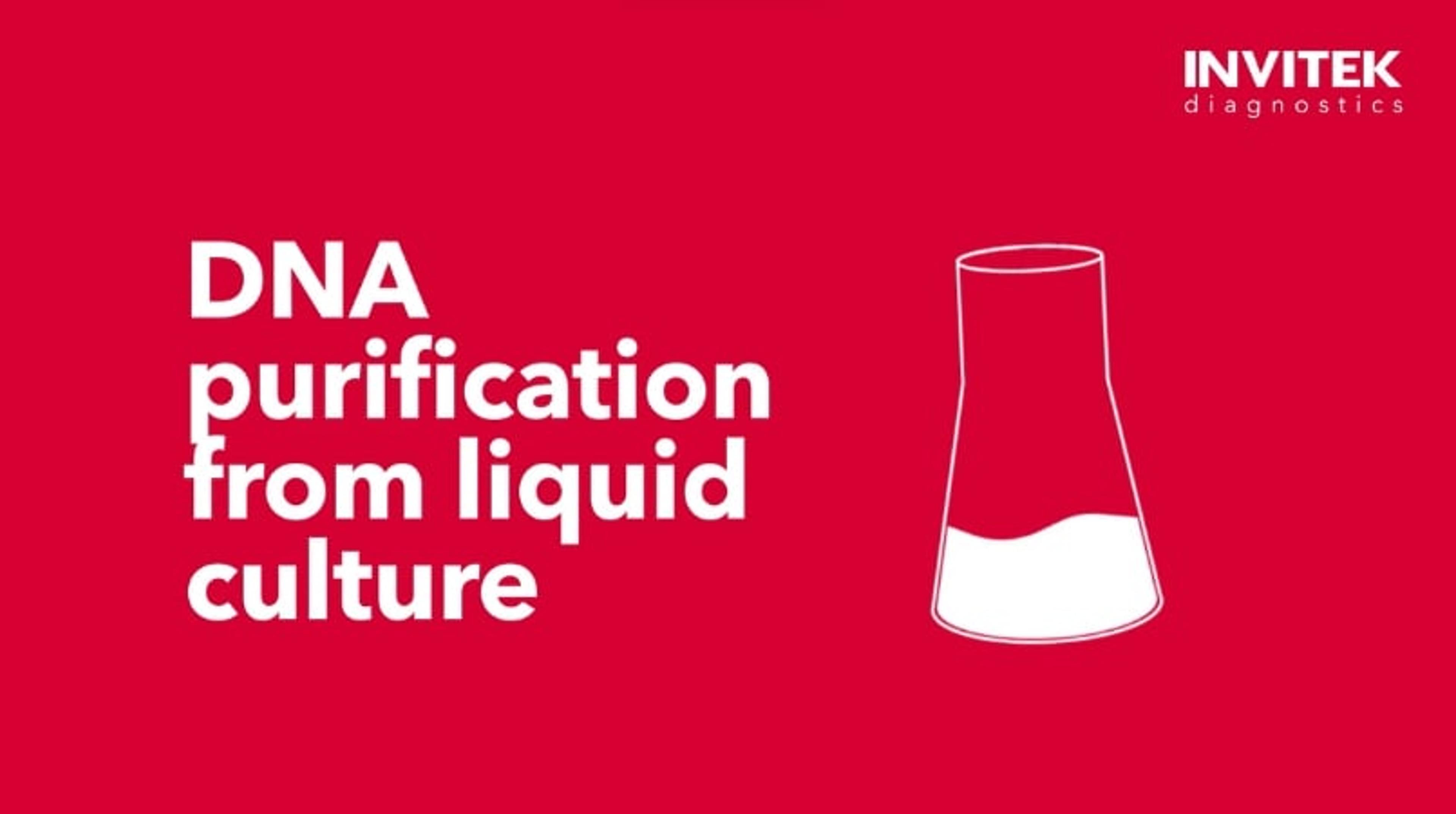 DNA purification from liquid culture: InviPrep Fast Lysis Buffer kit DNA purification from liquid culture: InviPrep Fast Lysis Buffer kit