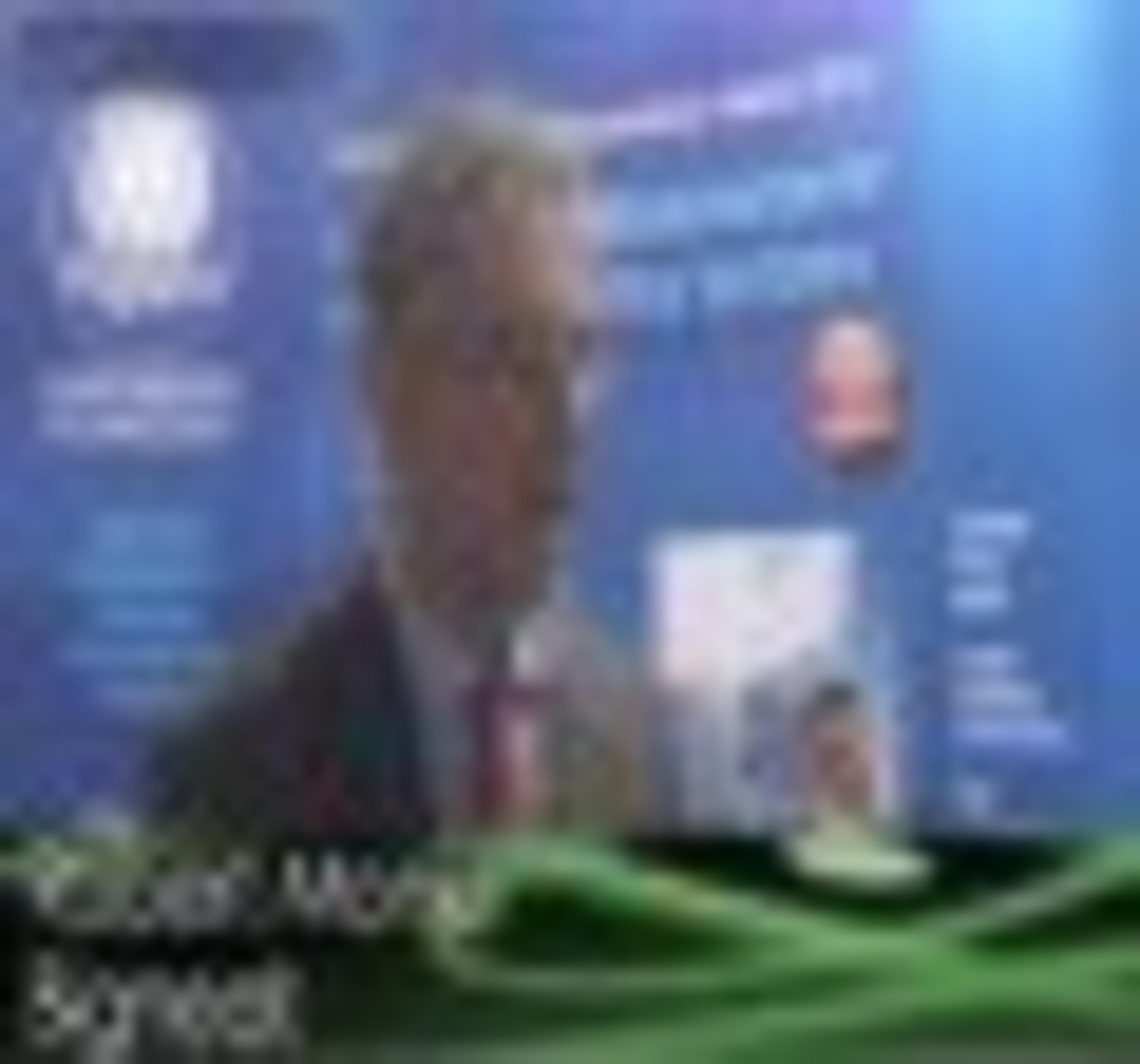 Hazard Enclosure Innovations from Bigneat Hazard Enclosure Innovations from Bigneat