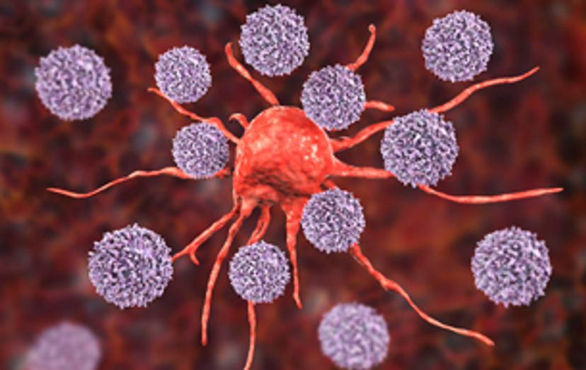 Image of immune cells attacking cancer cells