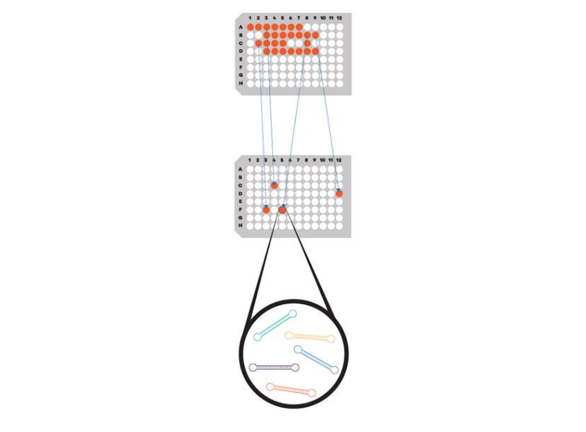 Precise de novo gene synthesis with the gSynth platform