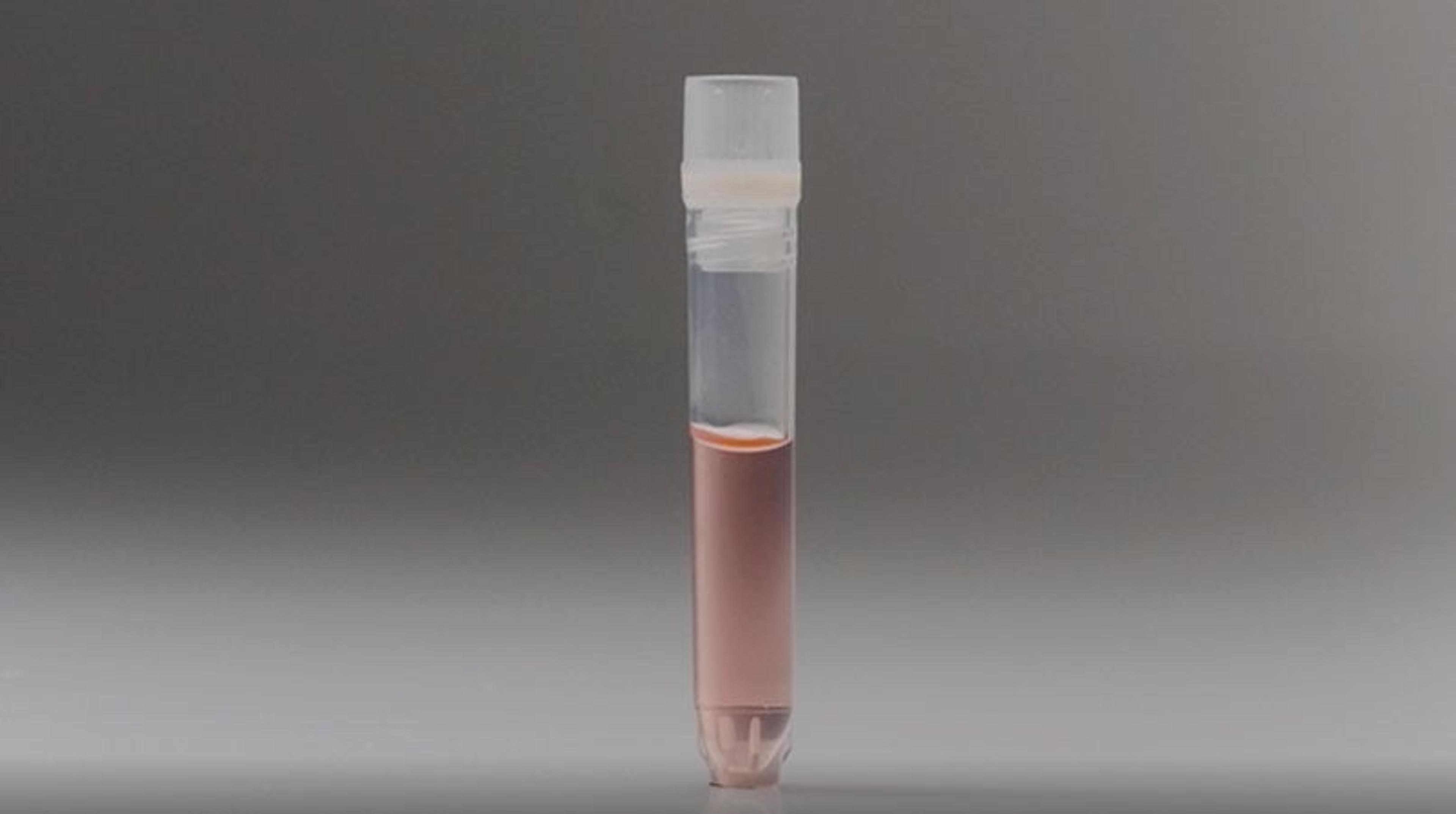Thermo Fisher Scientific biobanking consumables Thermo Fisher Scientific biobanking consumables