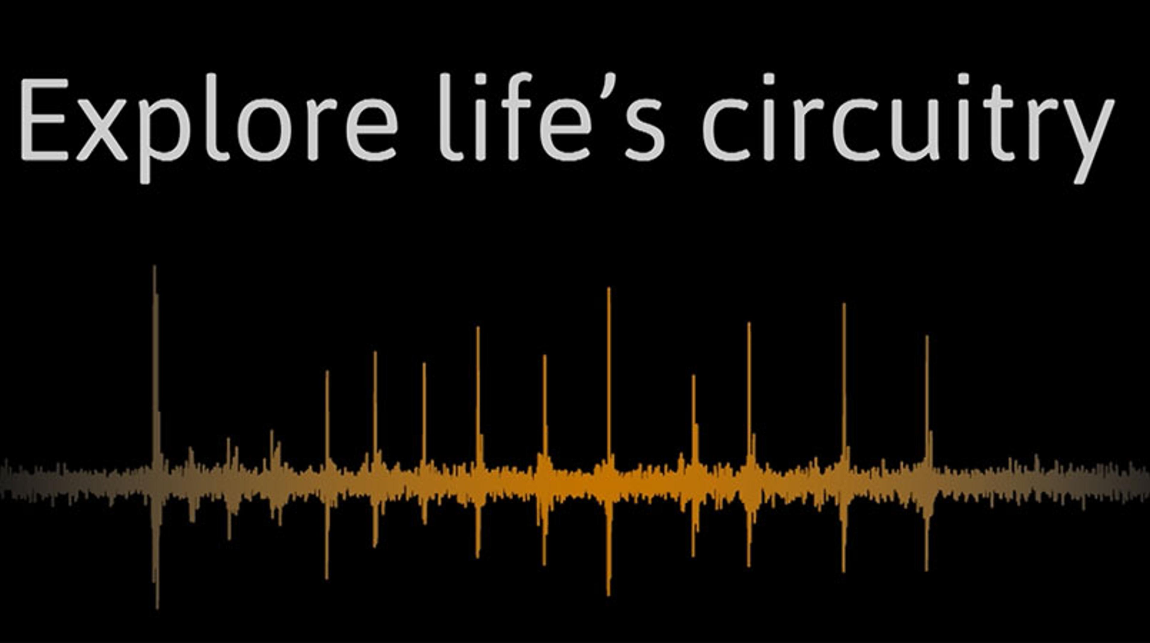 The need to explore cellular circuitry The need to explore cellular circuitry