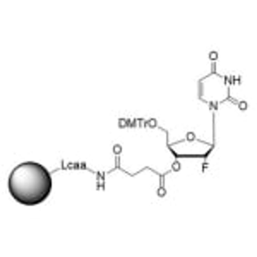 LNA probes