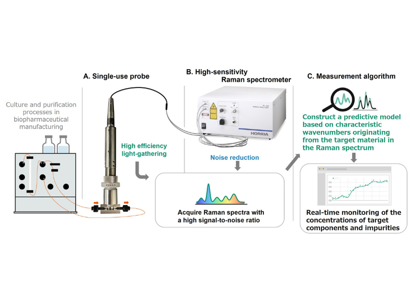 Schematic of the High-Sensitivity Inline Raman Measurement System