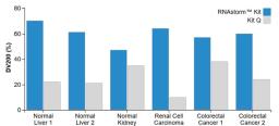 Increased DV200 values for RNA extracted using the RNAstorm 