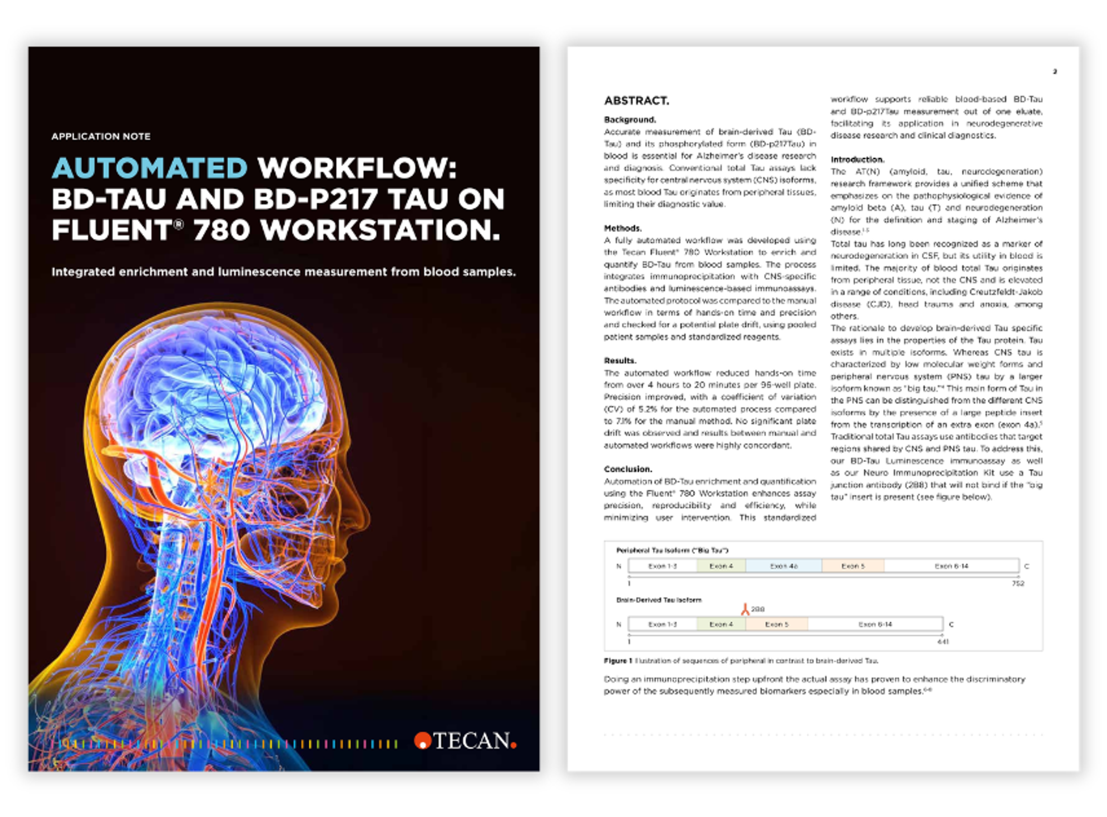 Automated BD-Tau and p217 Tau analysis on the Fluent® 780 Workstation
