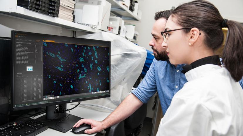 Senior Research Fellow Dr. Peter Caie and Ph.D. student Ines Nearchou, from the University of St. Andrews