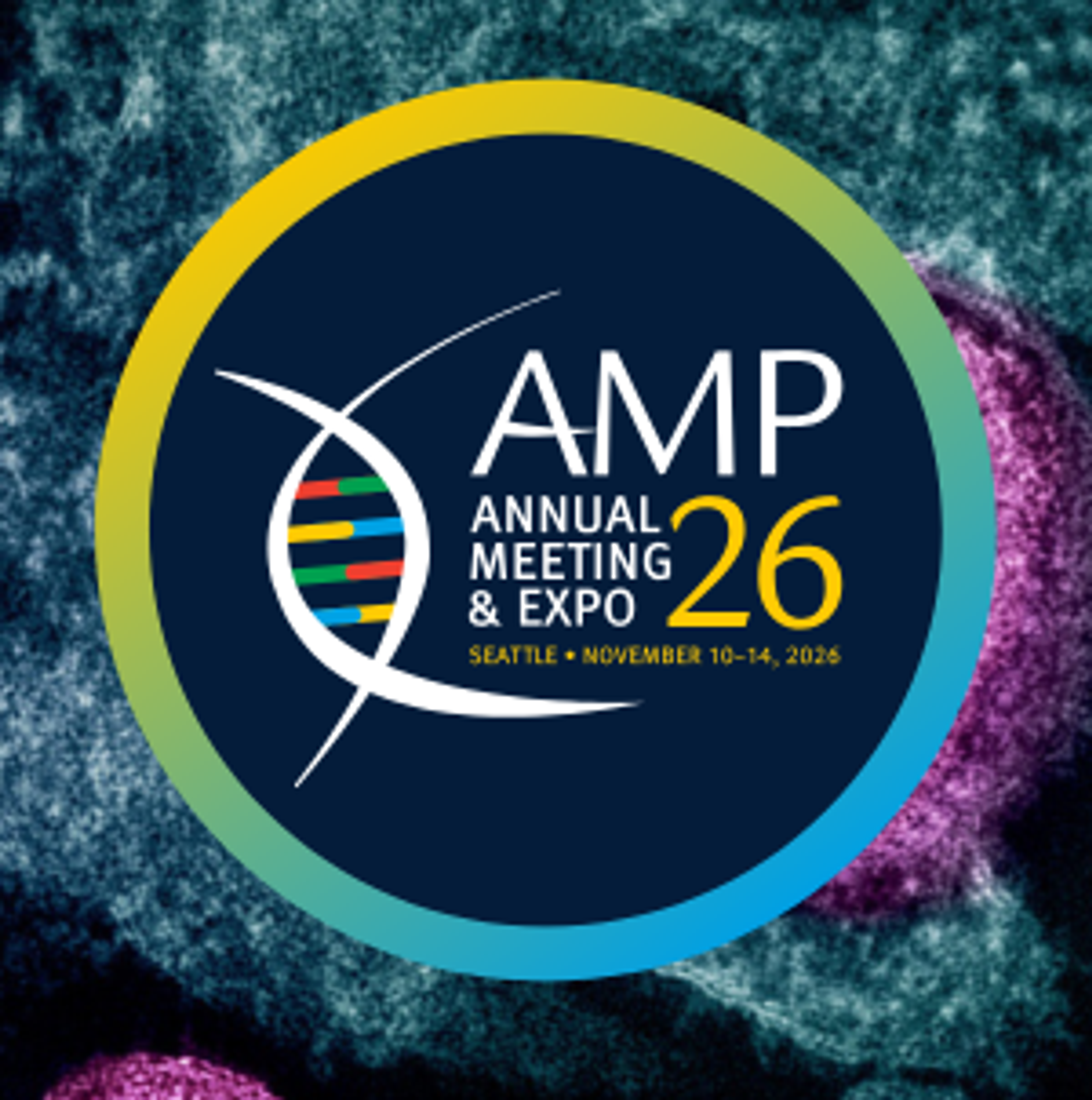 AMP logo