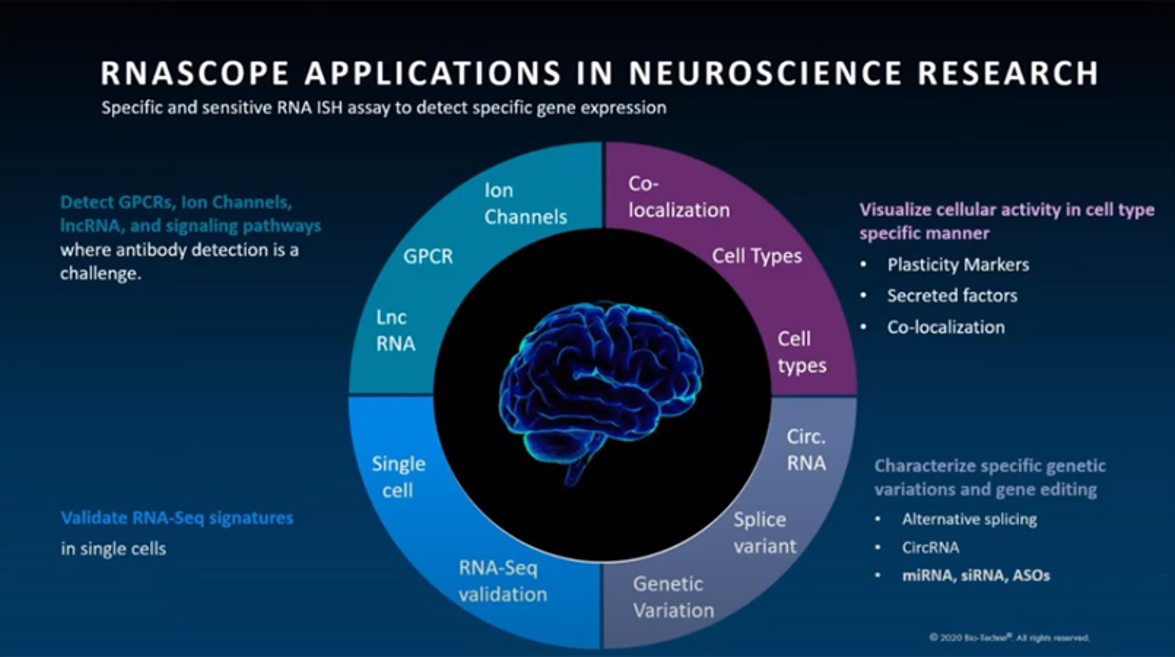 Multi-omic spatial approaches for neuroscience Multi-omic spatial approaches for neuroscience