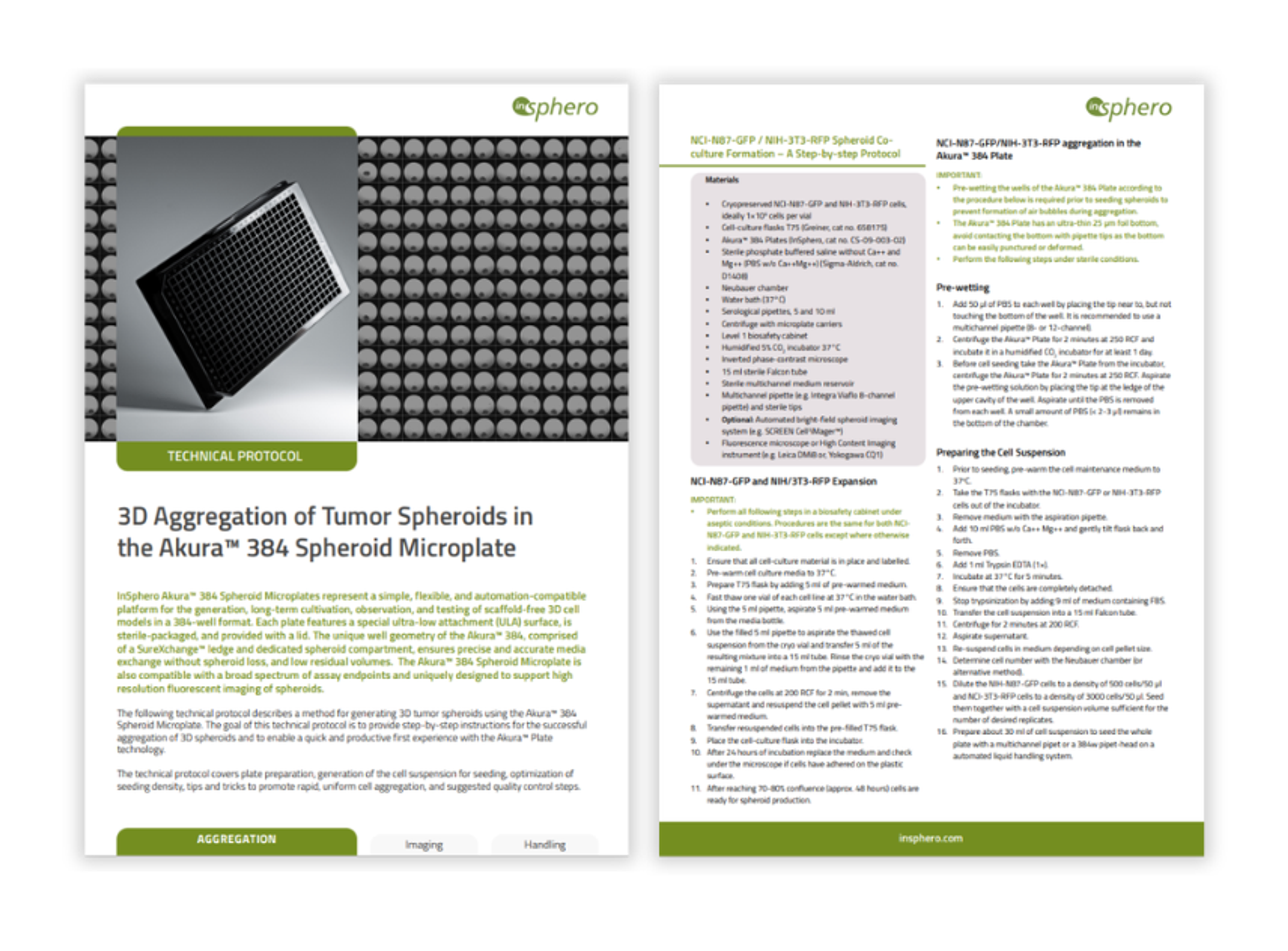 3D tumour spheroids in 384-well microplate