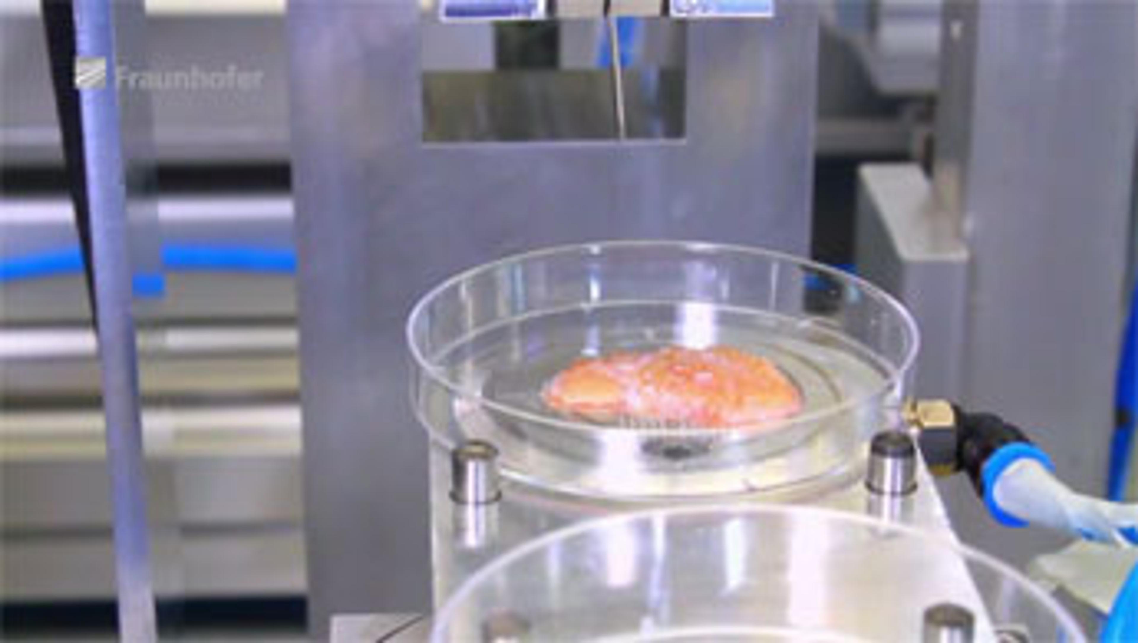 The Skin Factory – Automated Tissue Culture The Skin Factory – Automated Tissue Culture