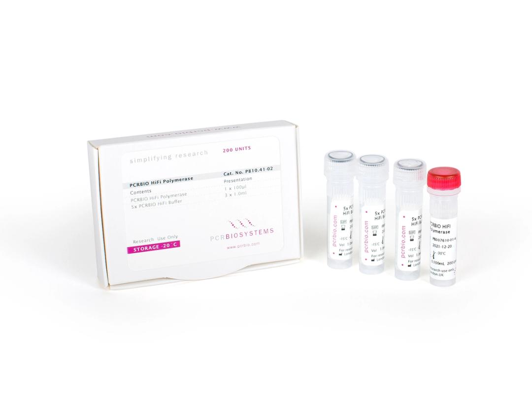 Enhanced processivity in PCR