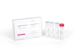 Enhanced processivity in PCR