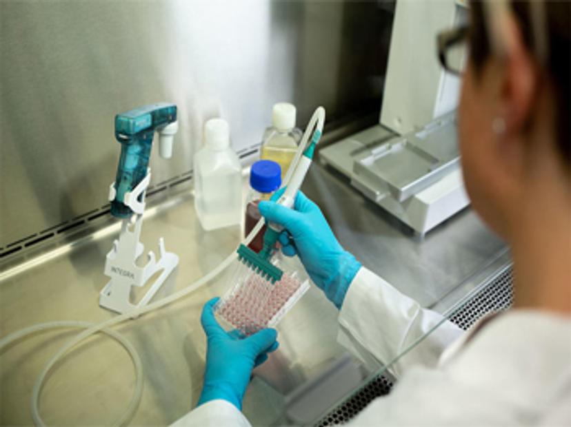 INTEGRA scientist using a multichannel pipette