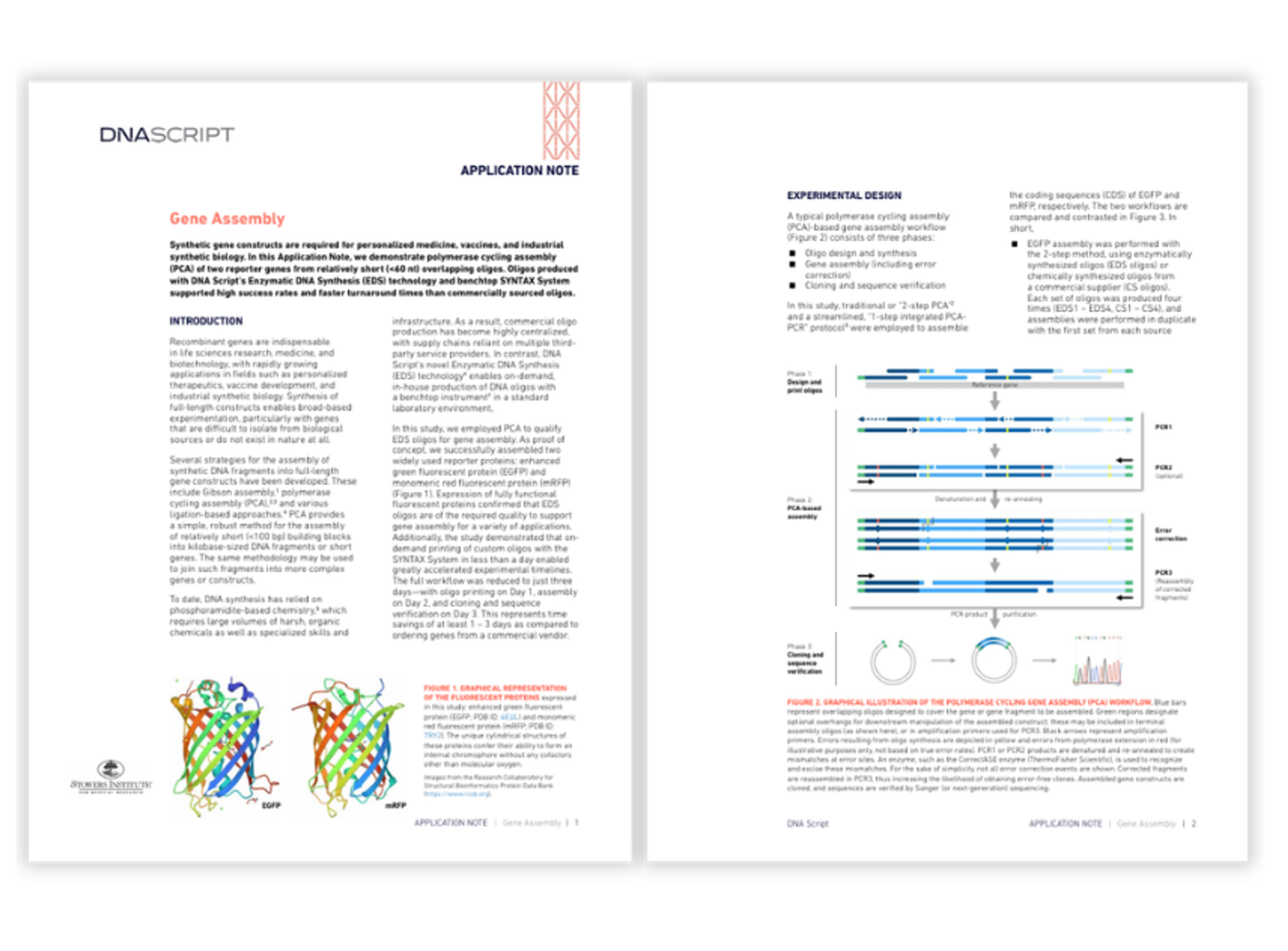 DNA Script's SYNTAX™ system and enzymatic DNA synthesis to generate oligos