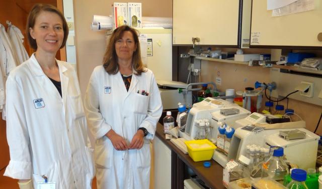 Early Detection of Ovarian Cancer: Medical University of Vienna ...